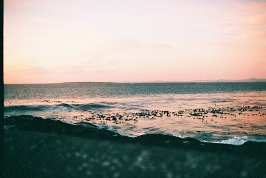 好的，我会根据您的要求进行句子的调整