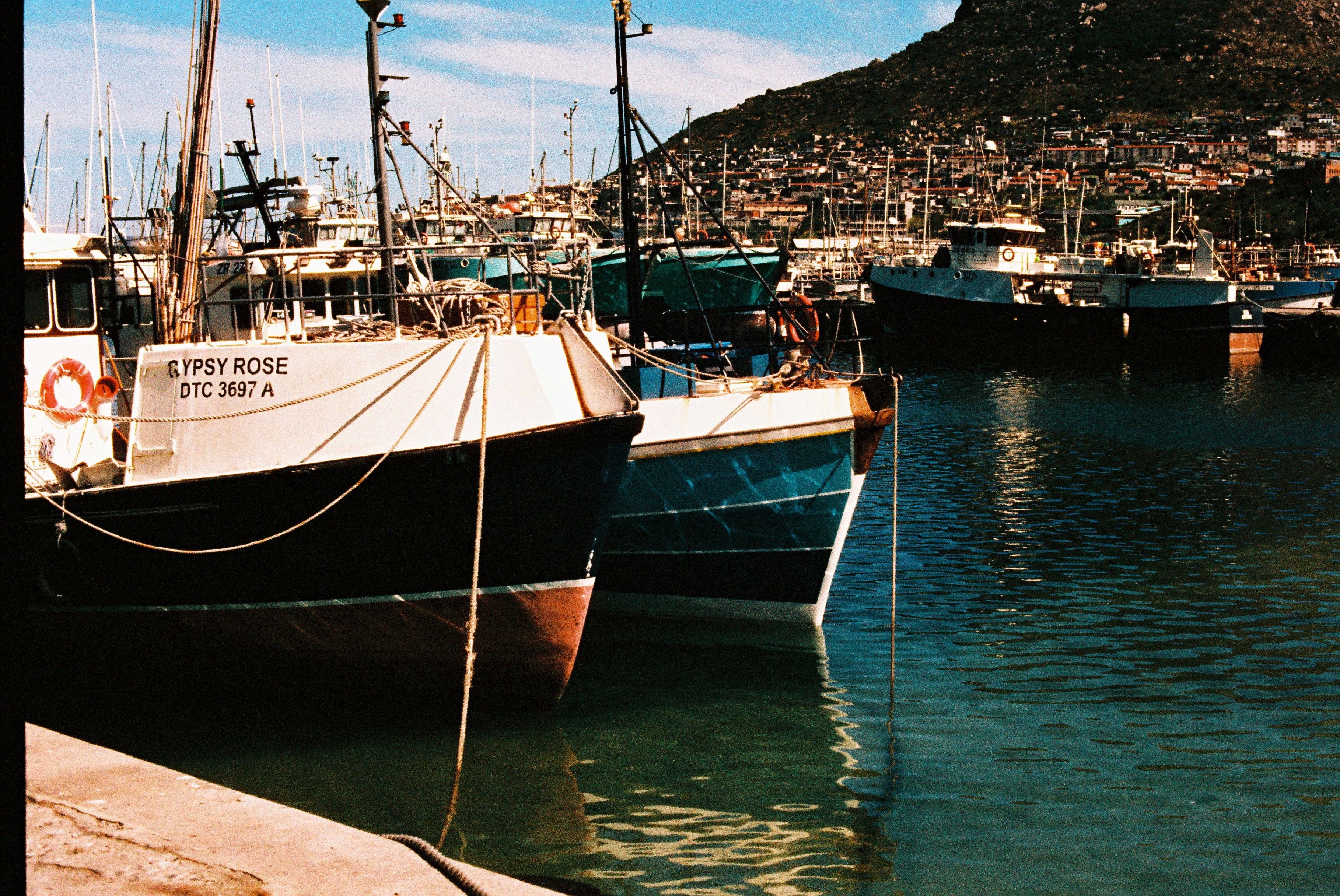 Colorful Fishing Boats Docked in Harbor · Free Stock Photo