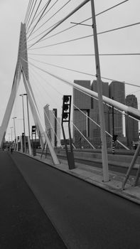 Black and white view of Erasmus Bridge in Rotterdam, showcasing modern architecture against a city skyline.