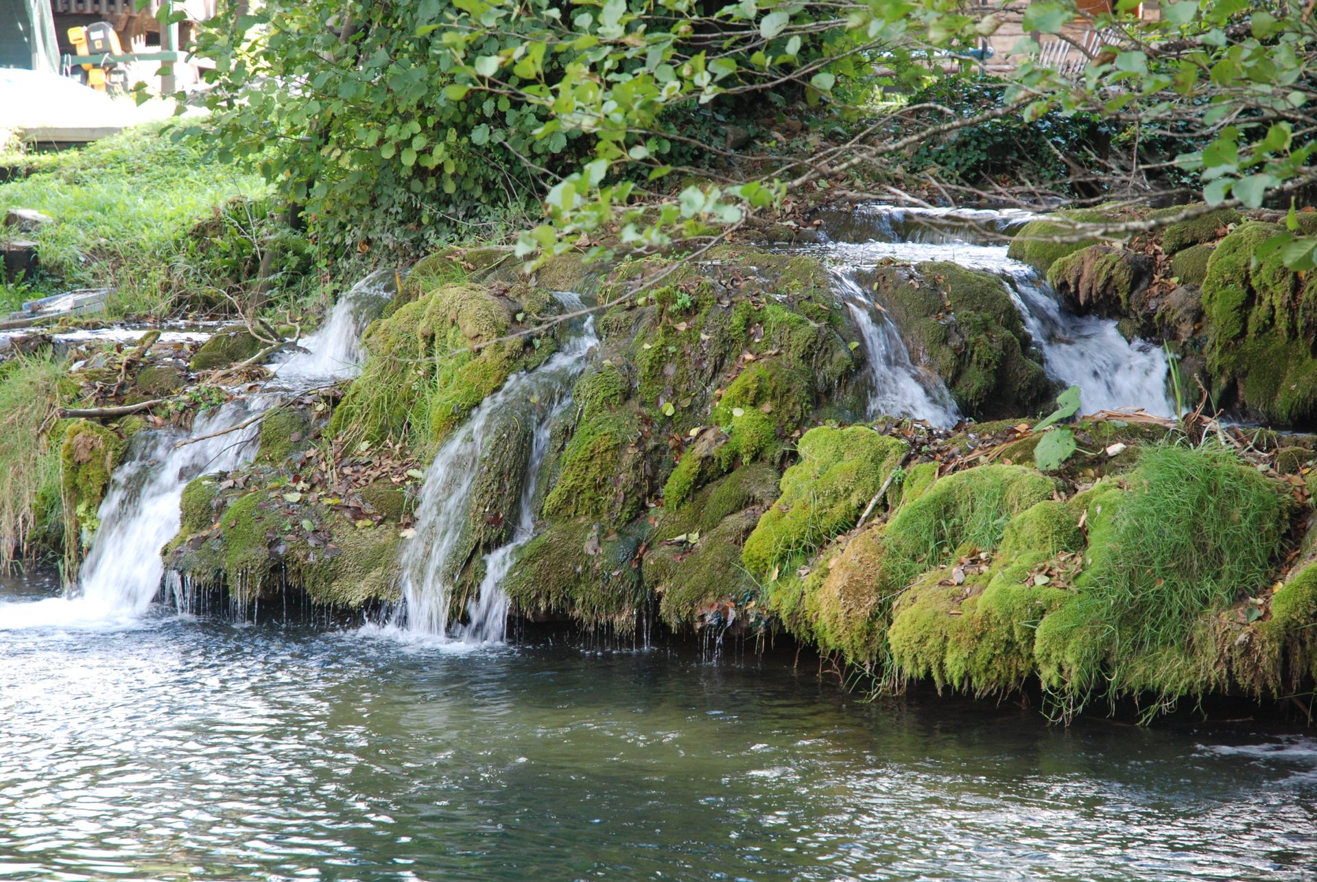Serene waterfall flowing over mossy rocks in a lush forest setting. Perfect for nature enthusiasts.