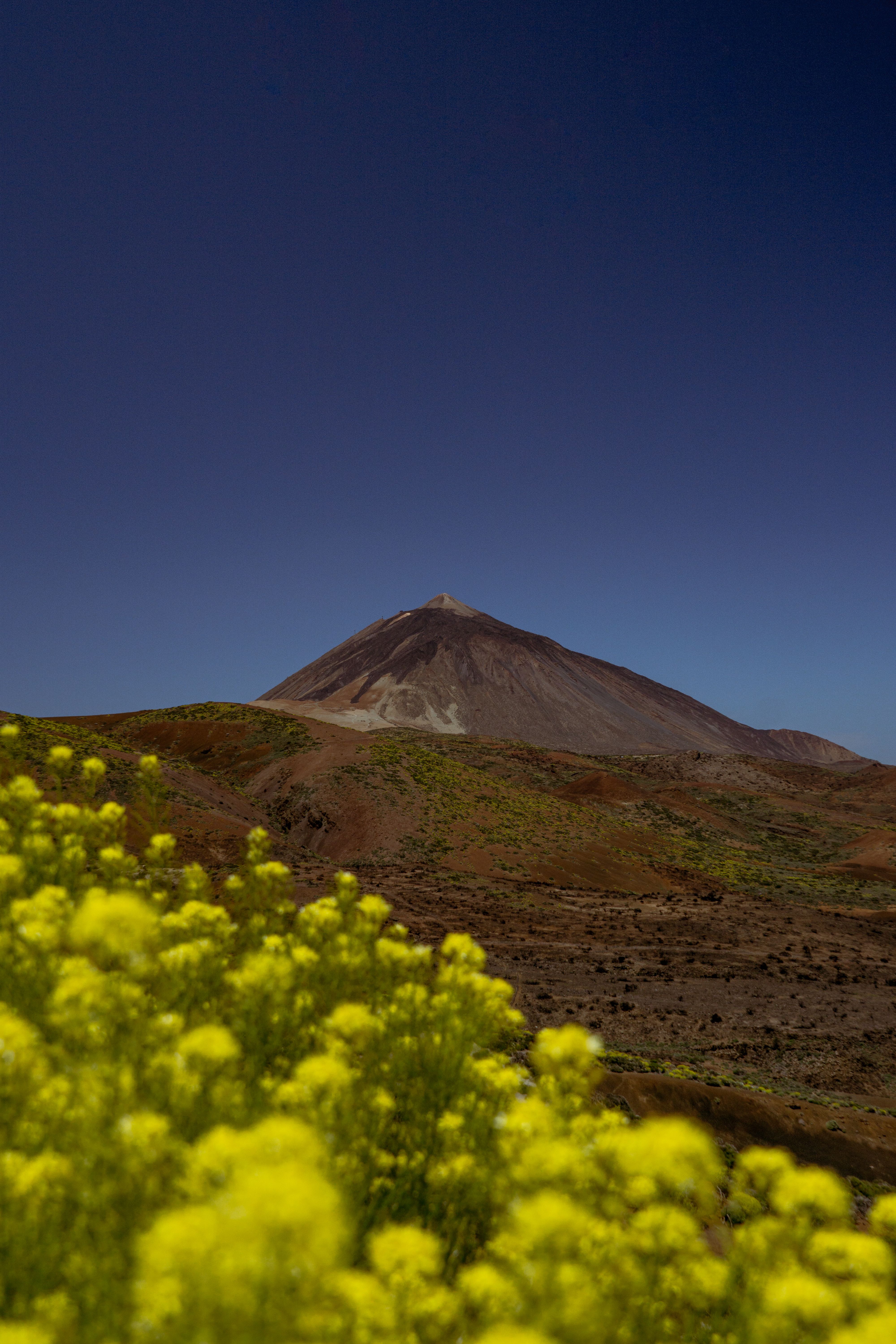 Majestic Teide Volcano Amidst Blooming Spring Landscape · Free Stock Photo