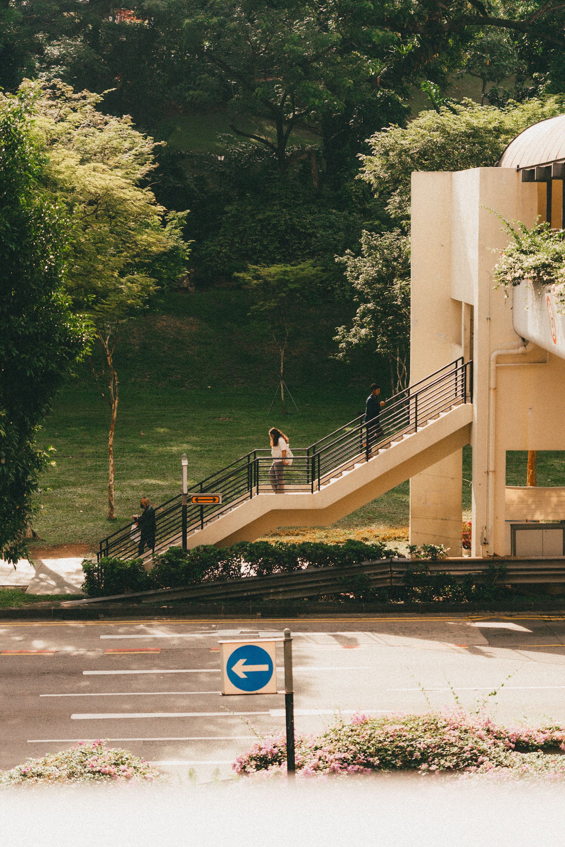 Urban Scene with Pedestrian Bridge and Lush Foliage · Free Stock Photo