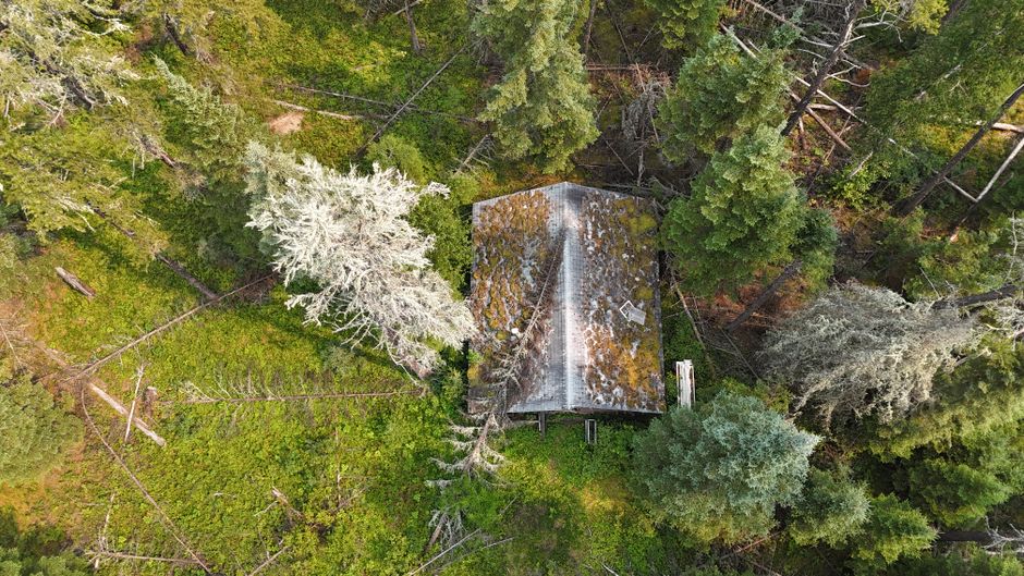 Spectacular Mont-Tremblant Helicopter Tours Review: Soaring Above Quebec's Most Stunning Mountain Resort Review 2026 - Drone shot of a moss-covered cabin amidst dense Ontario forest, showcasing the beauty of nature.