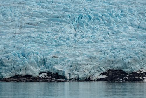 Free A detailed view of a grand glacier meeting a tranquil lake, showcasing nature's icy beauty. Stock Photo