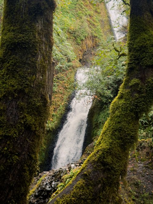Free Enchanting waterfall framed by lush, moss-covered trees in Oregon forest. Stock Photo