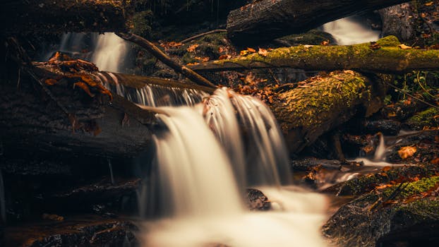 A tranquil waterfall flowing over moss-covered logs, surrounded by autumn leaves in a forest setting.