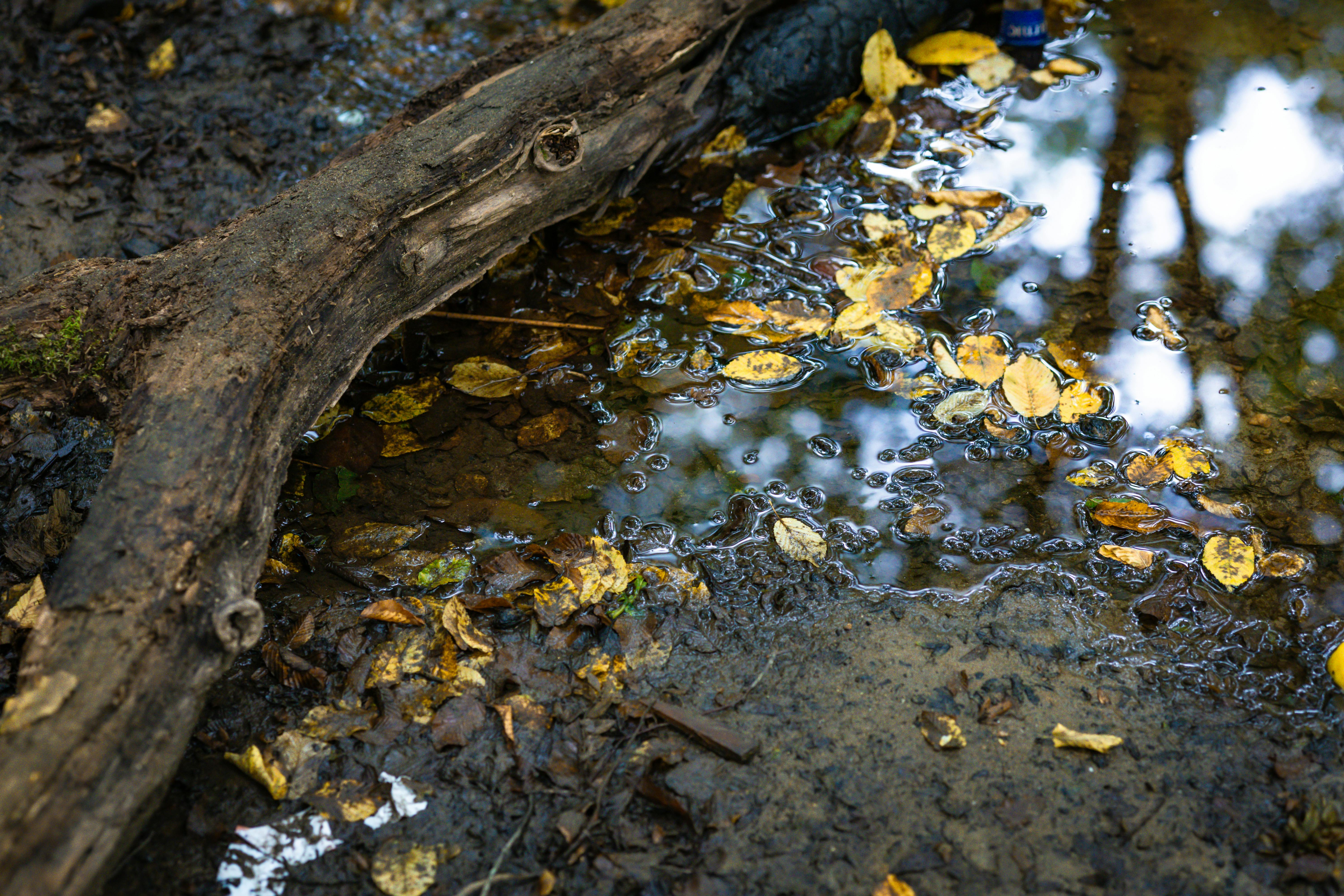 生活：午後對流旺盛 南投嘉義新竹苗栗嚴防大雷雨