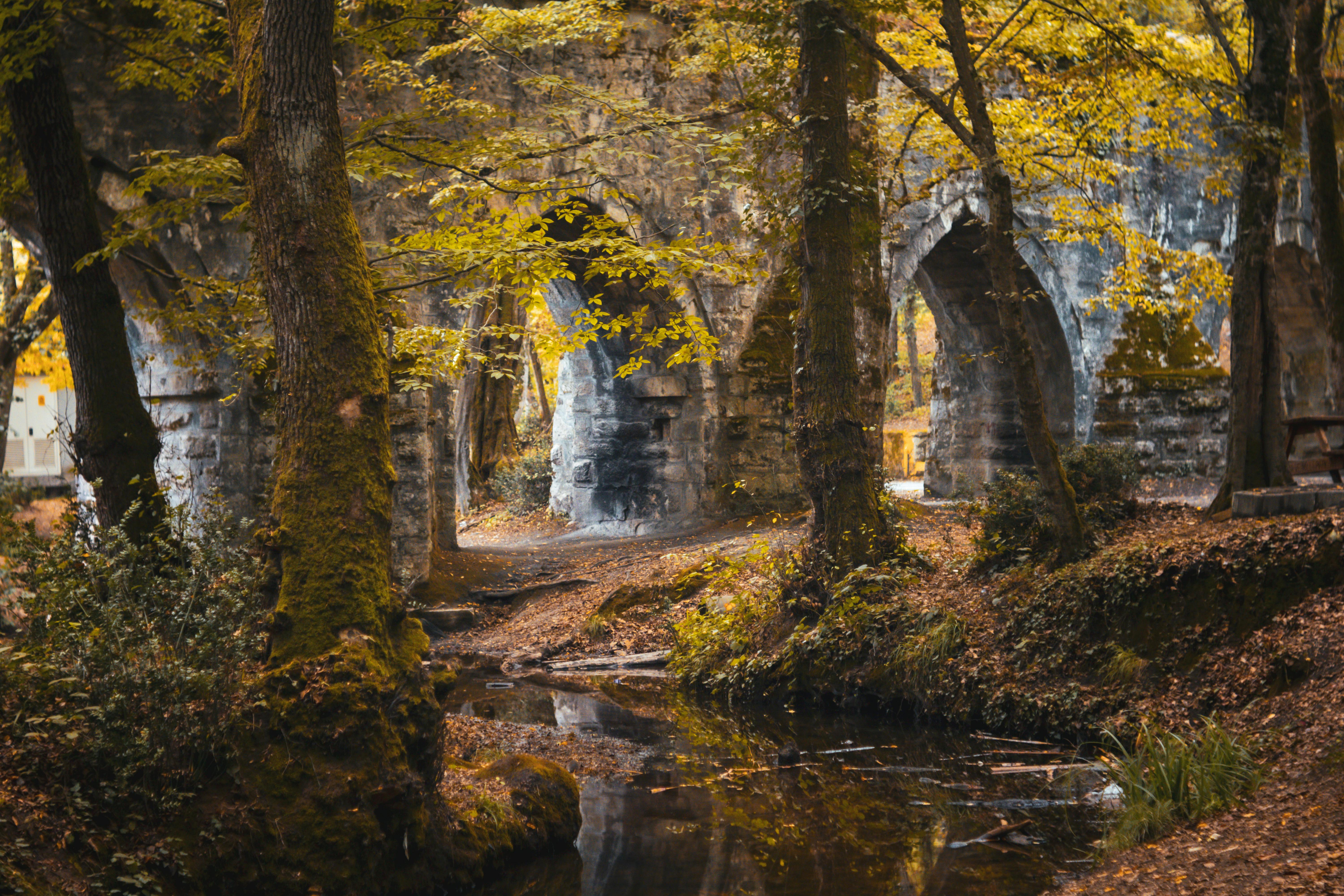 Revolutionary Organic Beauty Trends for a Sustainable Future