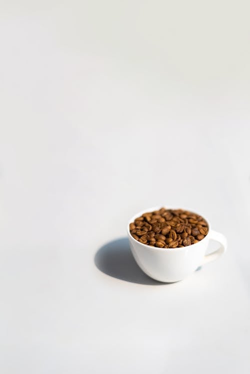Free Cup with Coffee Beans Stock Photo