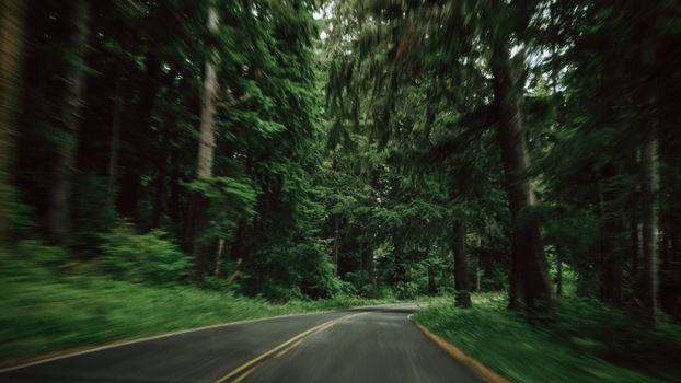 A winding road through a dense green forest, showcasing natural beauty and serenity.