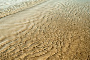 Gentle waves over a sandy shore by Nathan Tran on Pexels