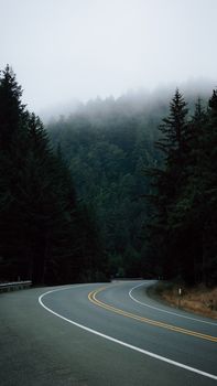 A winding road through a foggy forest setting a tranquil and mysterious atmosphere.