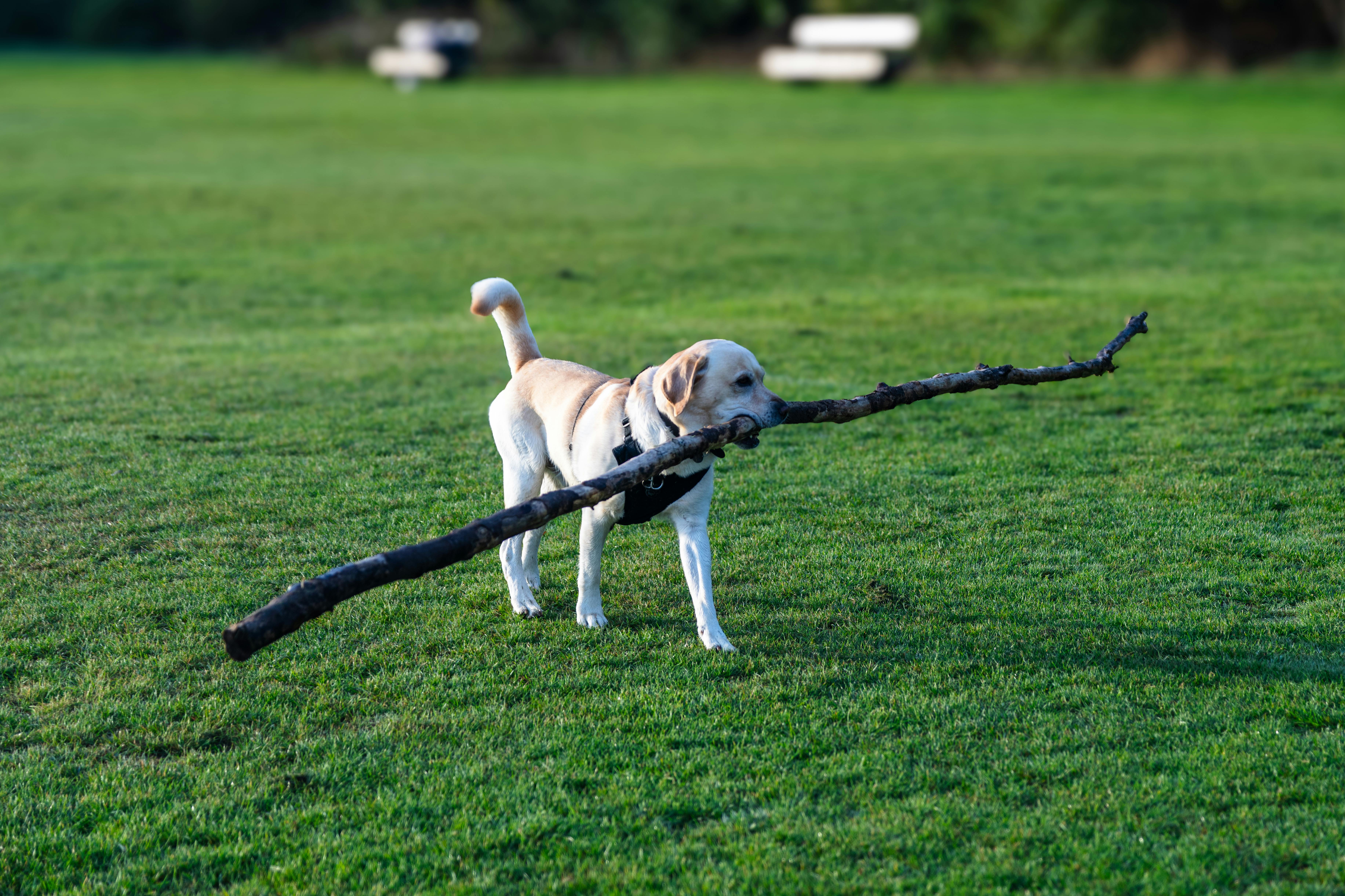 李翊君出道38年首登小巨蛋 檢場攜愛女現身分享長工生活