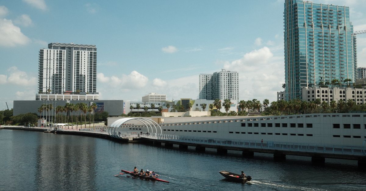 Urban waterfront scene with rowers and modern buildings under a clear sky.