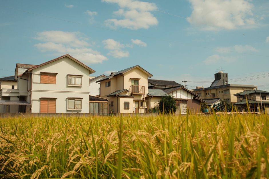 澄み切った青空の下の美しい日本の家屋と田んぼ。