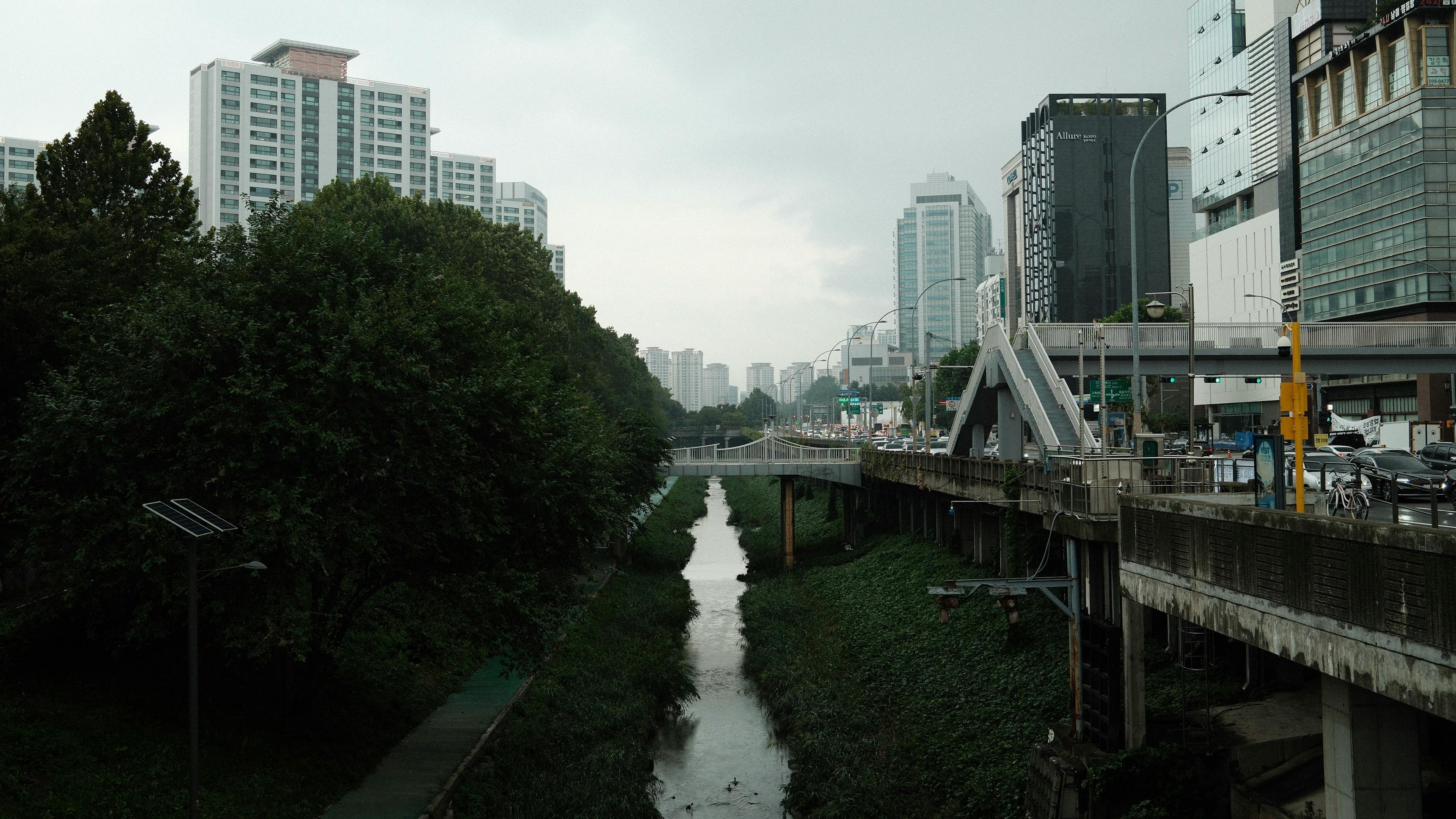 輝達總部設立受阻！Cheap揭2大主因成國際笑話 外商望而卻步