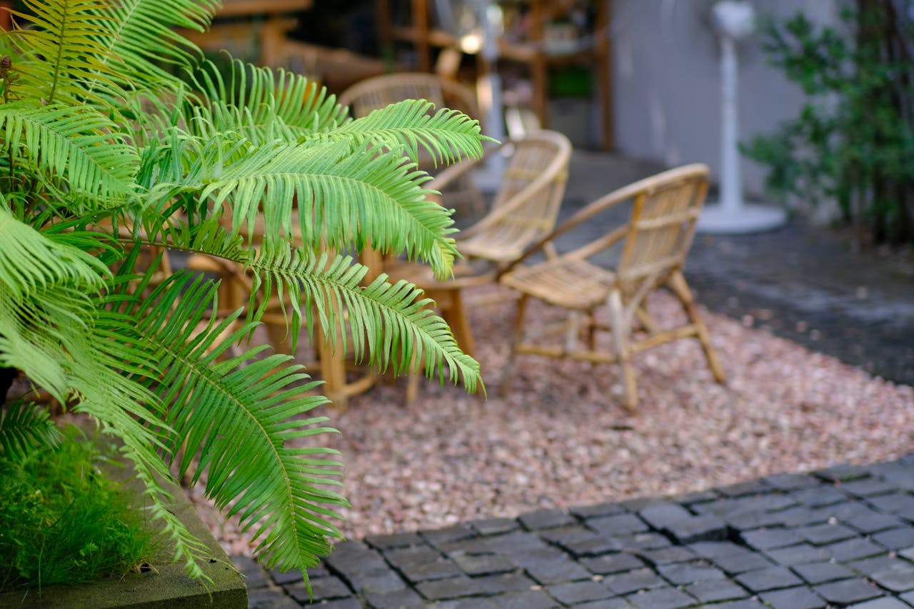 Thám tử lừng danh Conan | Chương 0772