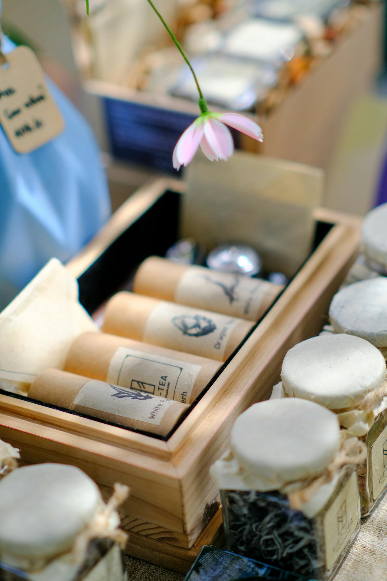 Cây bắt ruồi Venus và hiểu biết về ý thức