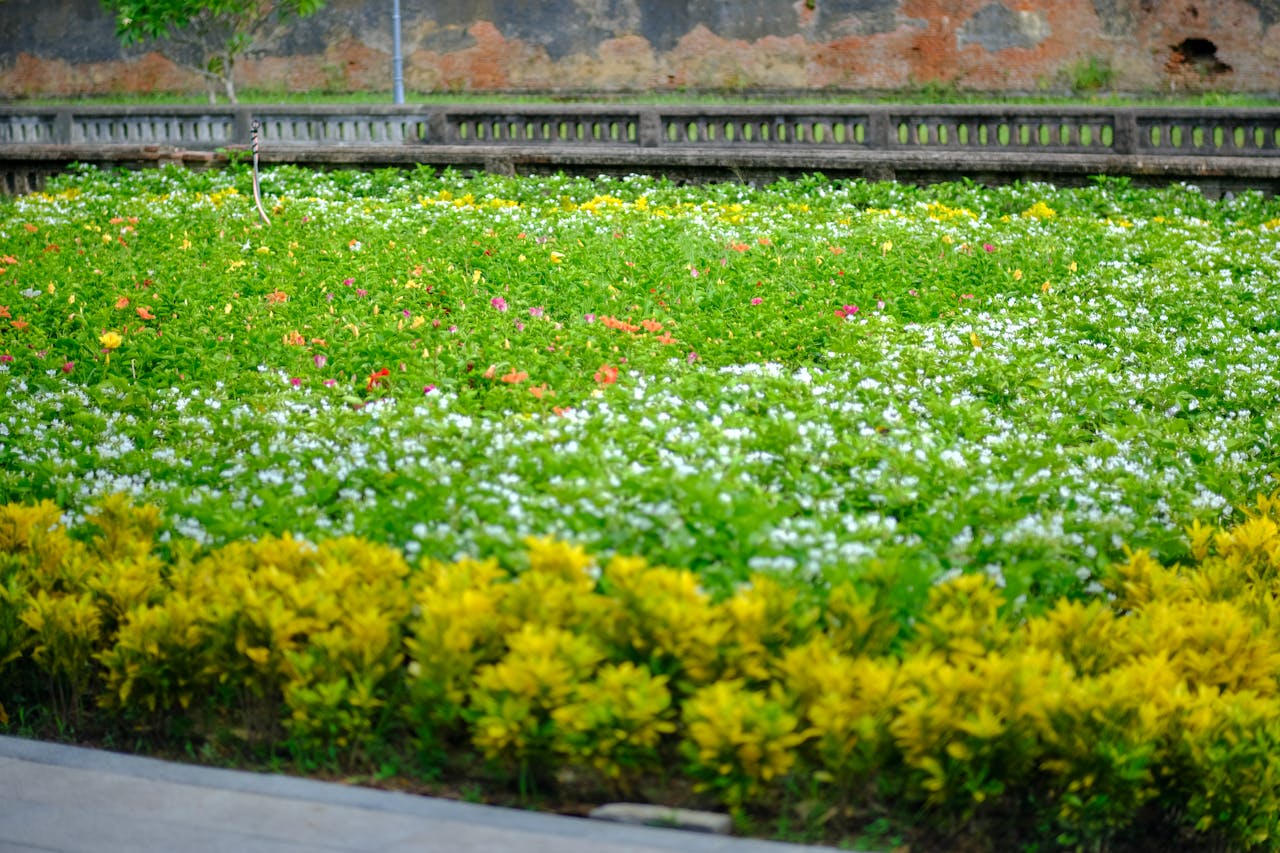 Bàn về Tây Du Ký