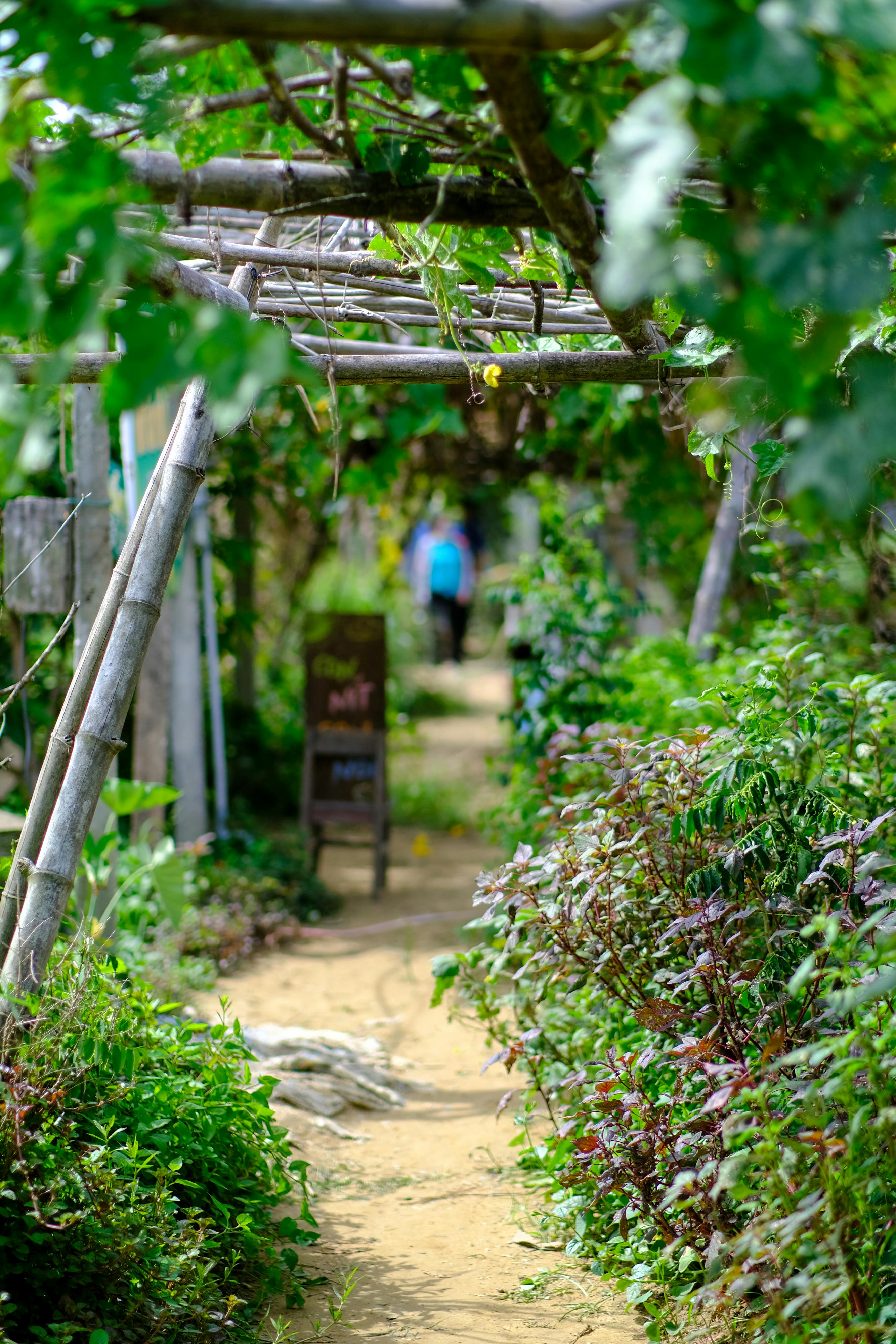 Trung tâm nghiên cứu văn học, phát triển nhà văn Việt Nam