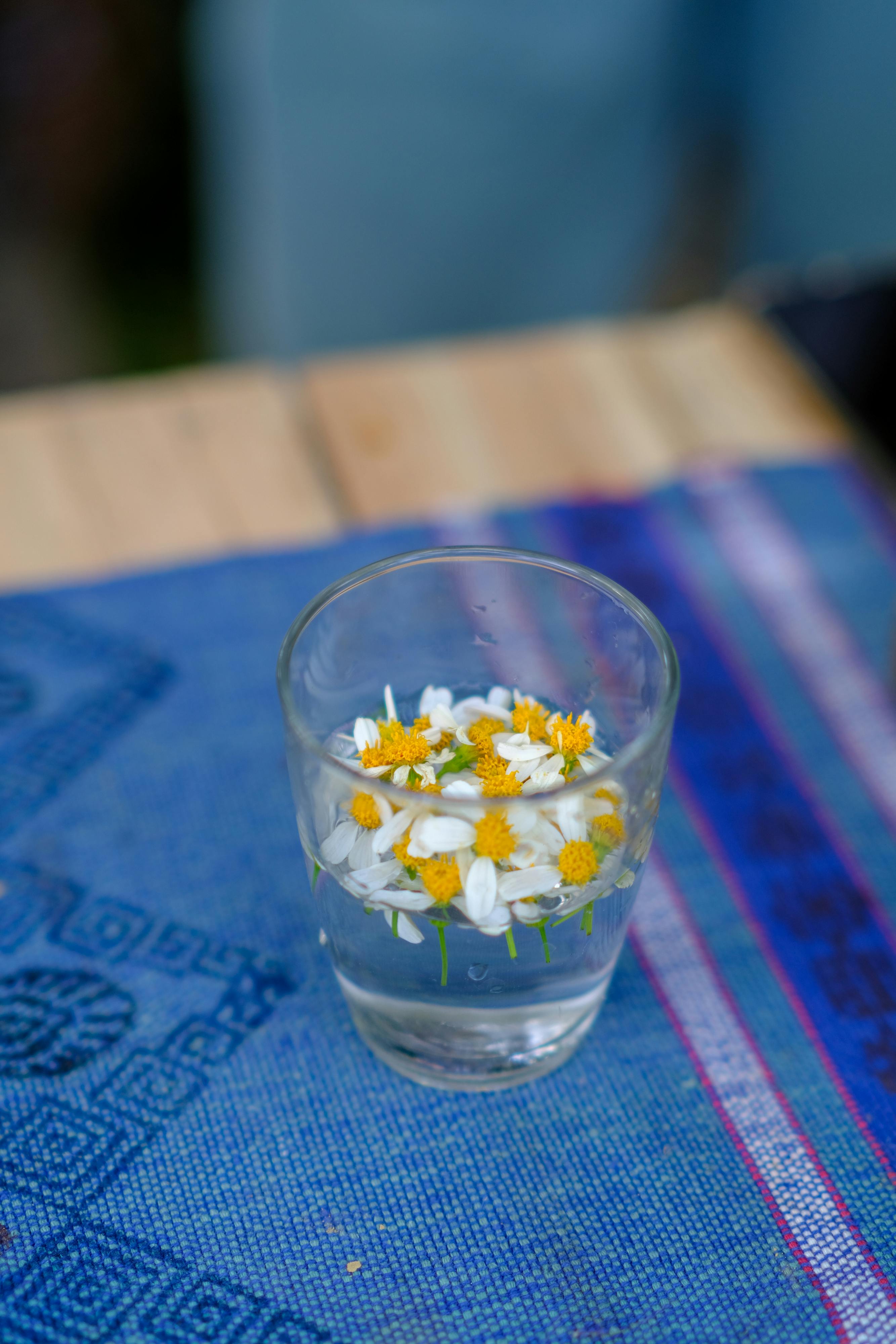 Trung tâm nghiên cứu văn học, phát triển nhà văn Việt Nam