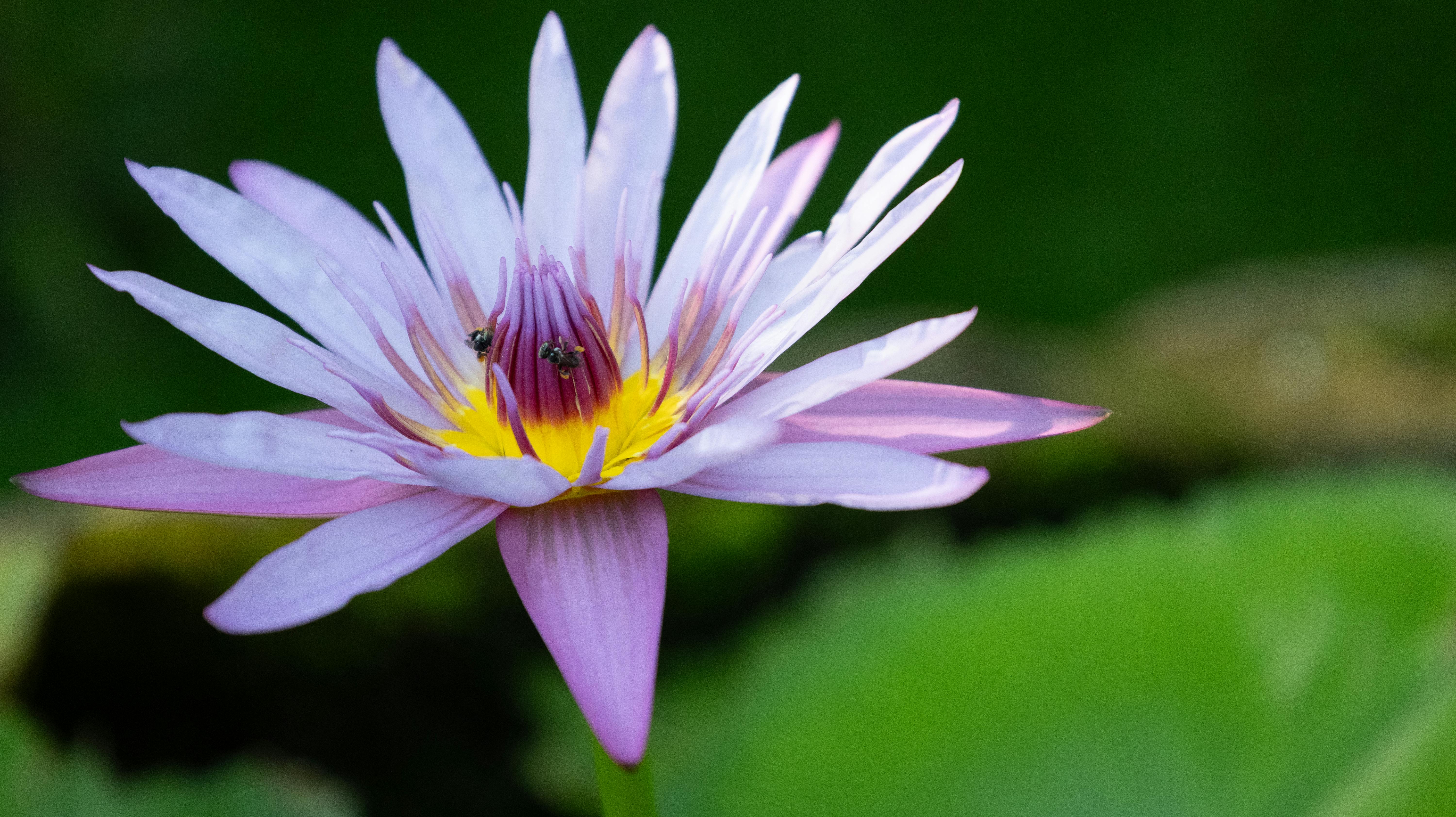 台北道場佛學講座「禪話．話禪」 探索禪的生活智慧