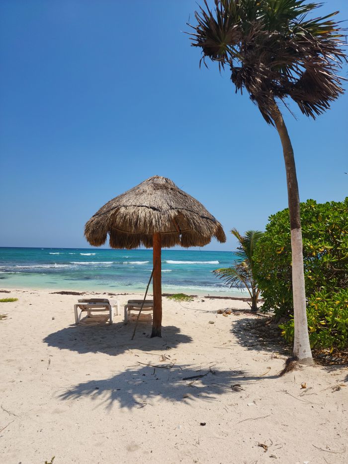 Plage des Caraïbes avec palapa et mer turquoise, Riviera Maya, Mexique