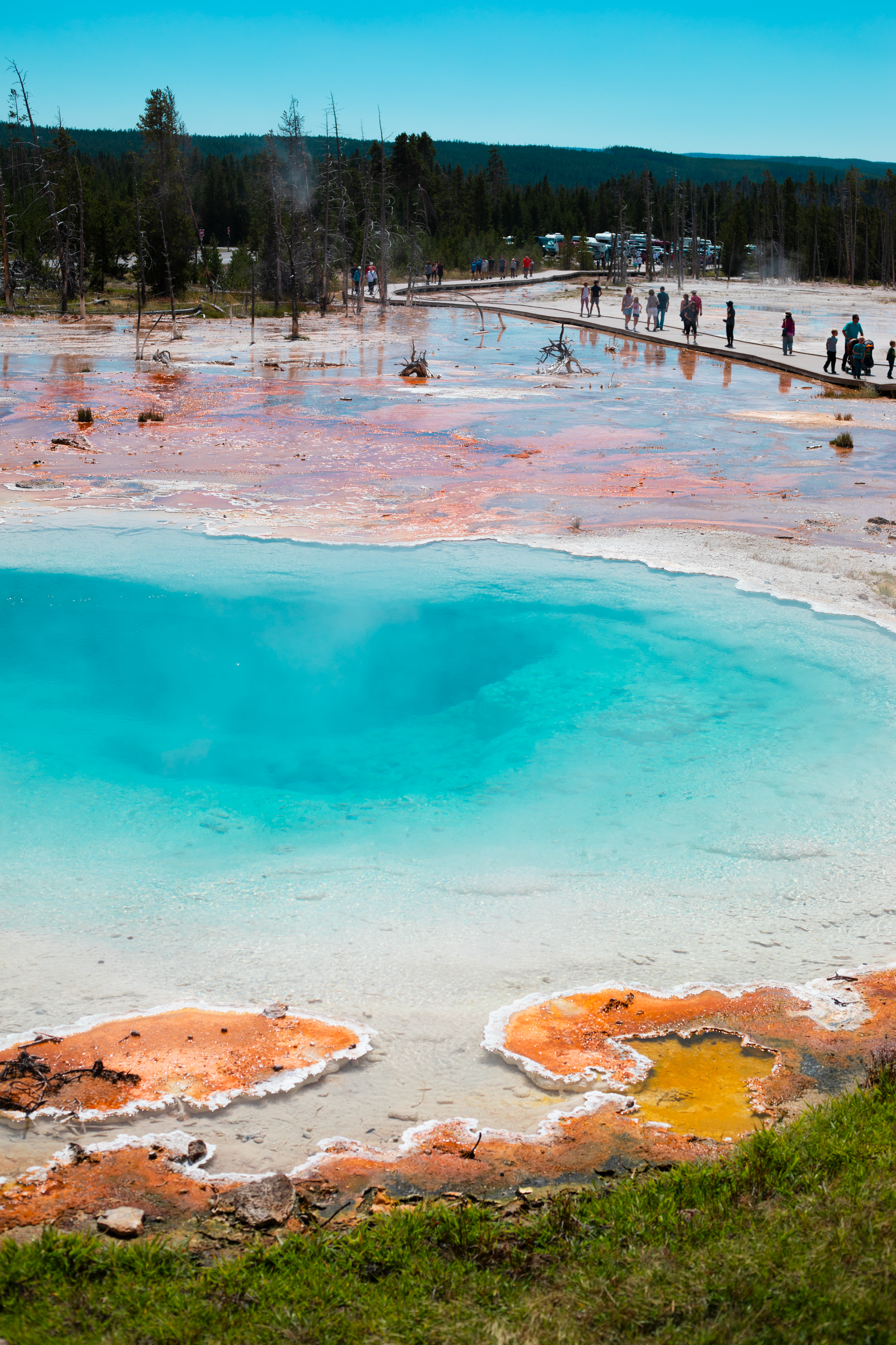 Vibrant Hot Spring at Yellowstone National Park · Free Stock Photo