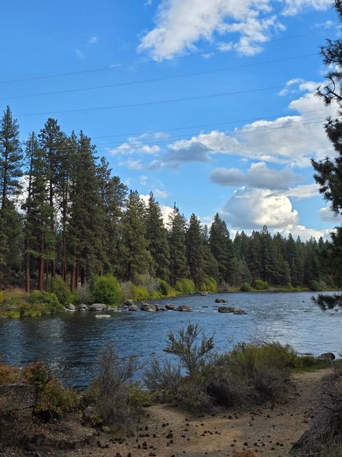 Free Tranquil outdoor scene featuring a river surrounded by lush pine trees under a blue sky. Stock Photo