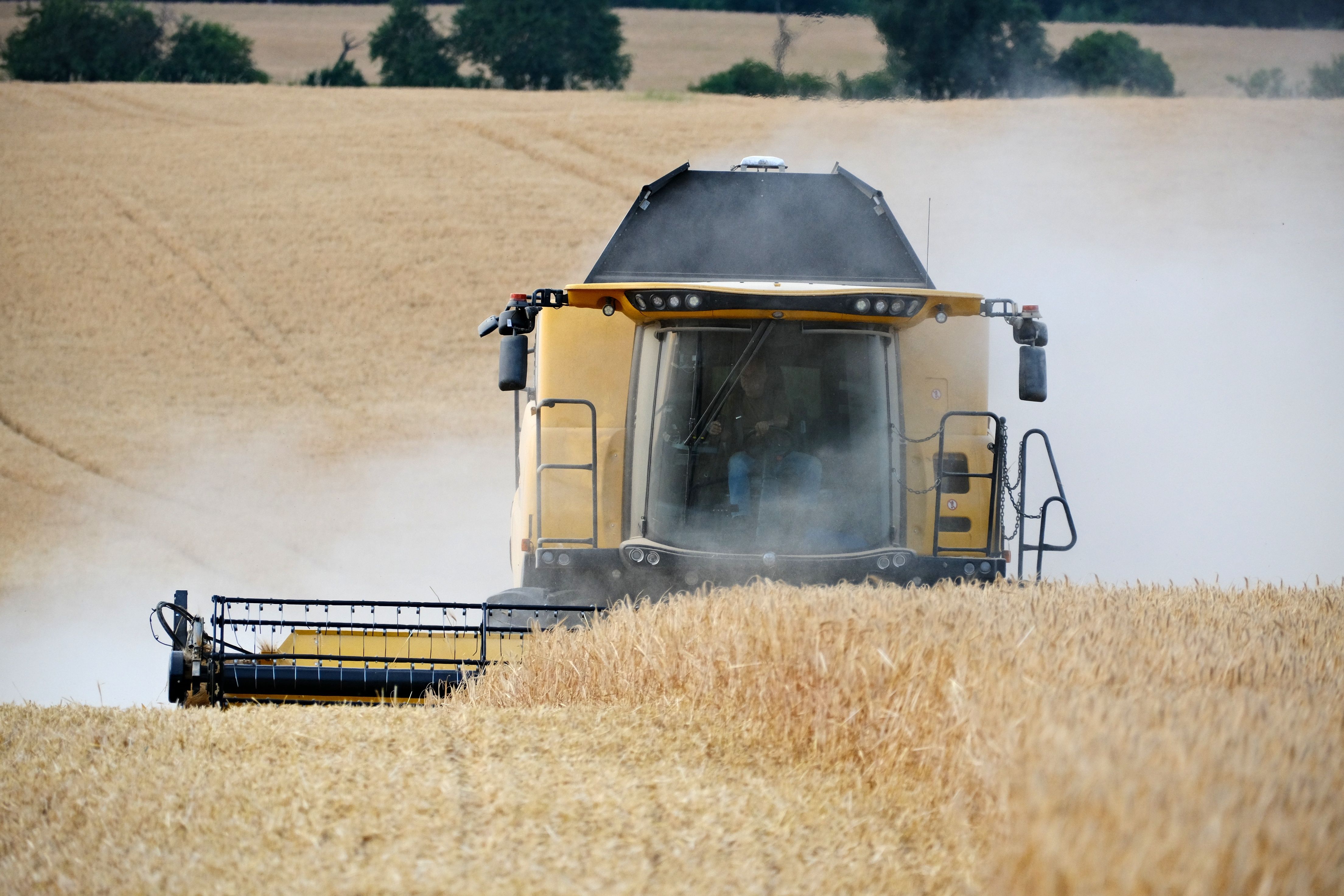 specialty diets specialty diesel services — Photo by Roman Biernacki on Pexels