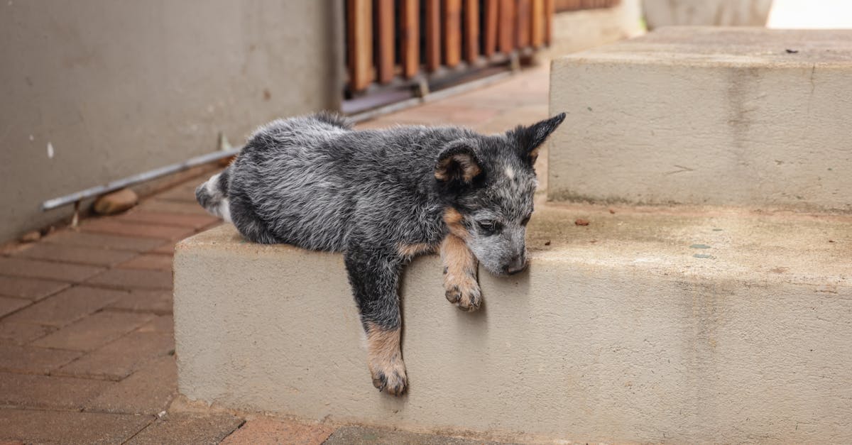 pexels-photo-34154043.jpeg?auto=compress&cs=tinysrgb&fit=crop&h=627&w=1200