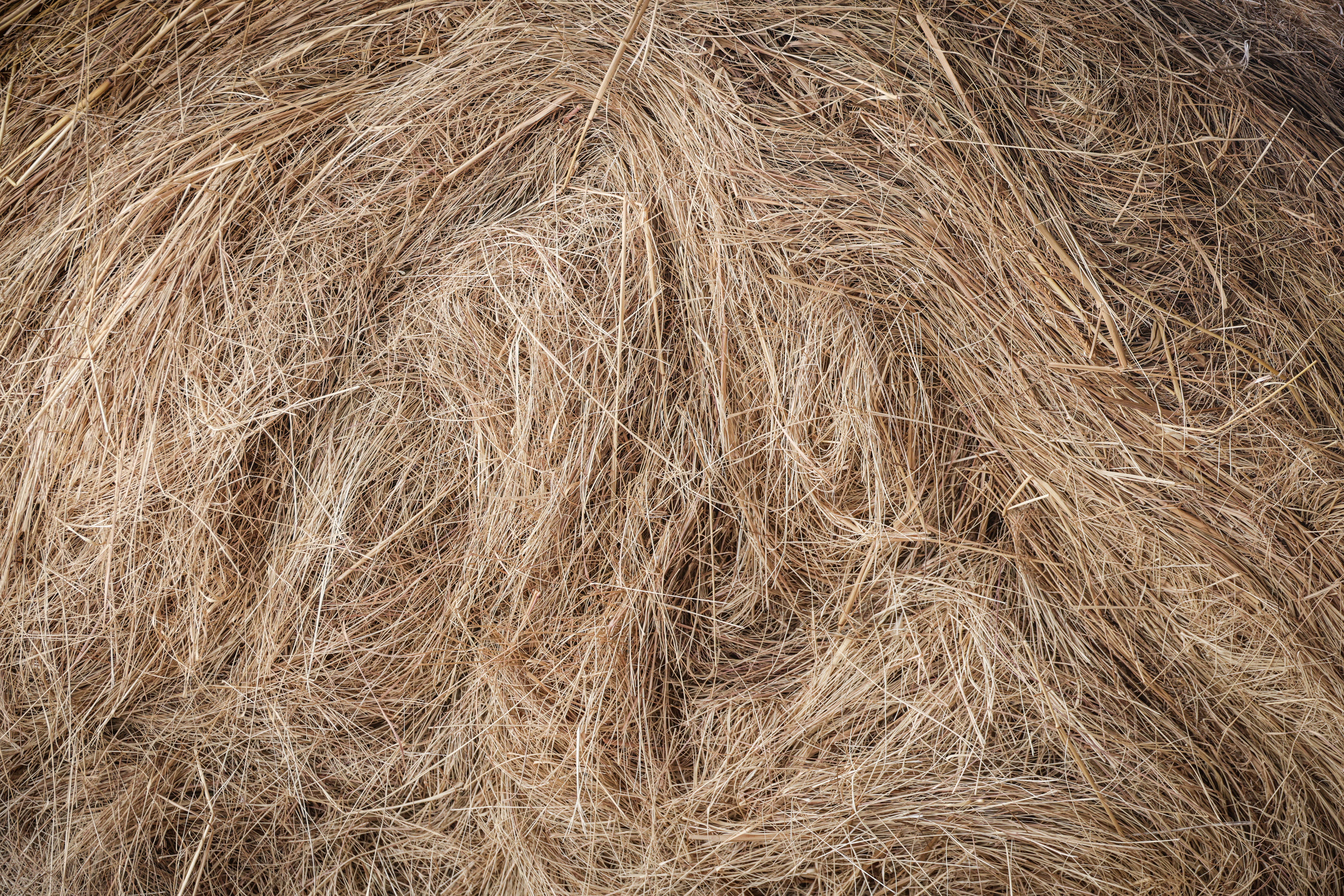Close-up of Hay Bale Texture in Farm Setting · Free Stock Photo
