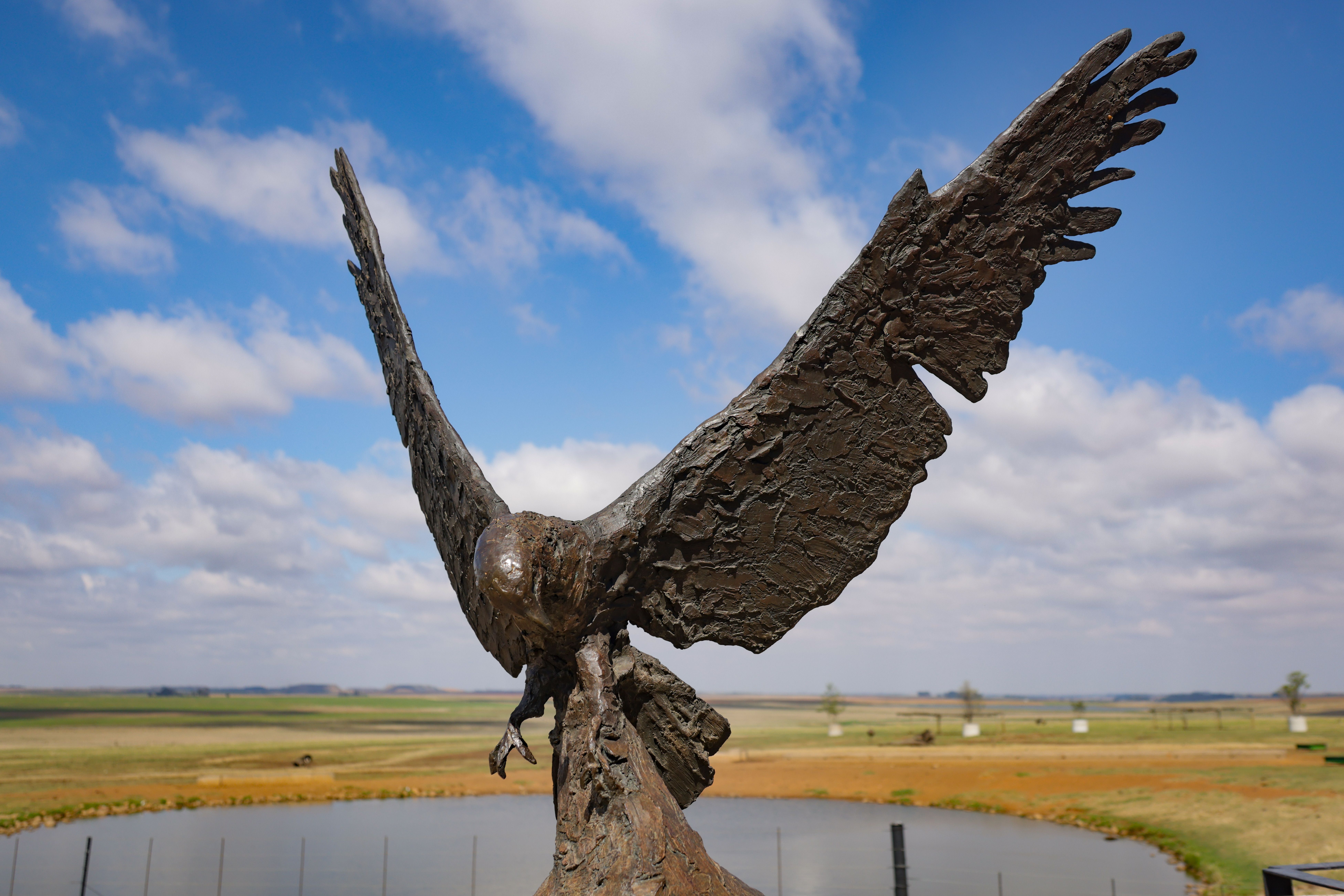 Majestic Eagle Statue in Scenic Landscape · Free Stock Photo