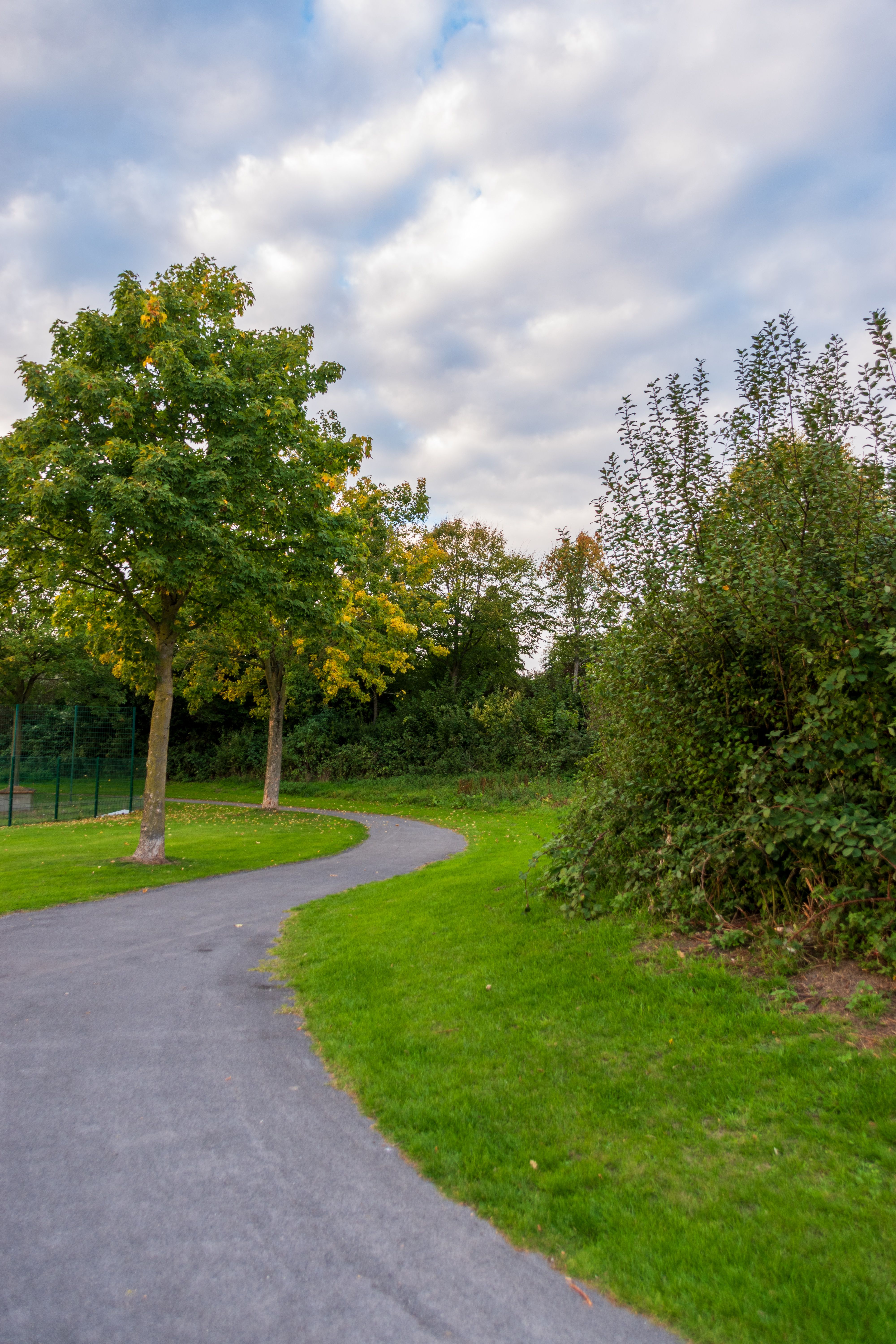 Serene Park Pathway in Early Autumn · Free Stock Photo