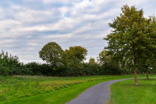A peaceful park scene with a winding path surrounded by lush trees and greenery under a cloudy sky.