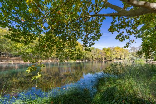 Free Serene lake with lush trees and reflection in Anna, Comunidad Valenciana, España. Stock Photo