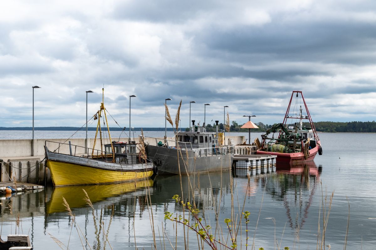 Barci colorate ancorate intr-un port estonian, sub cer gri