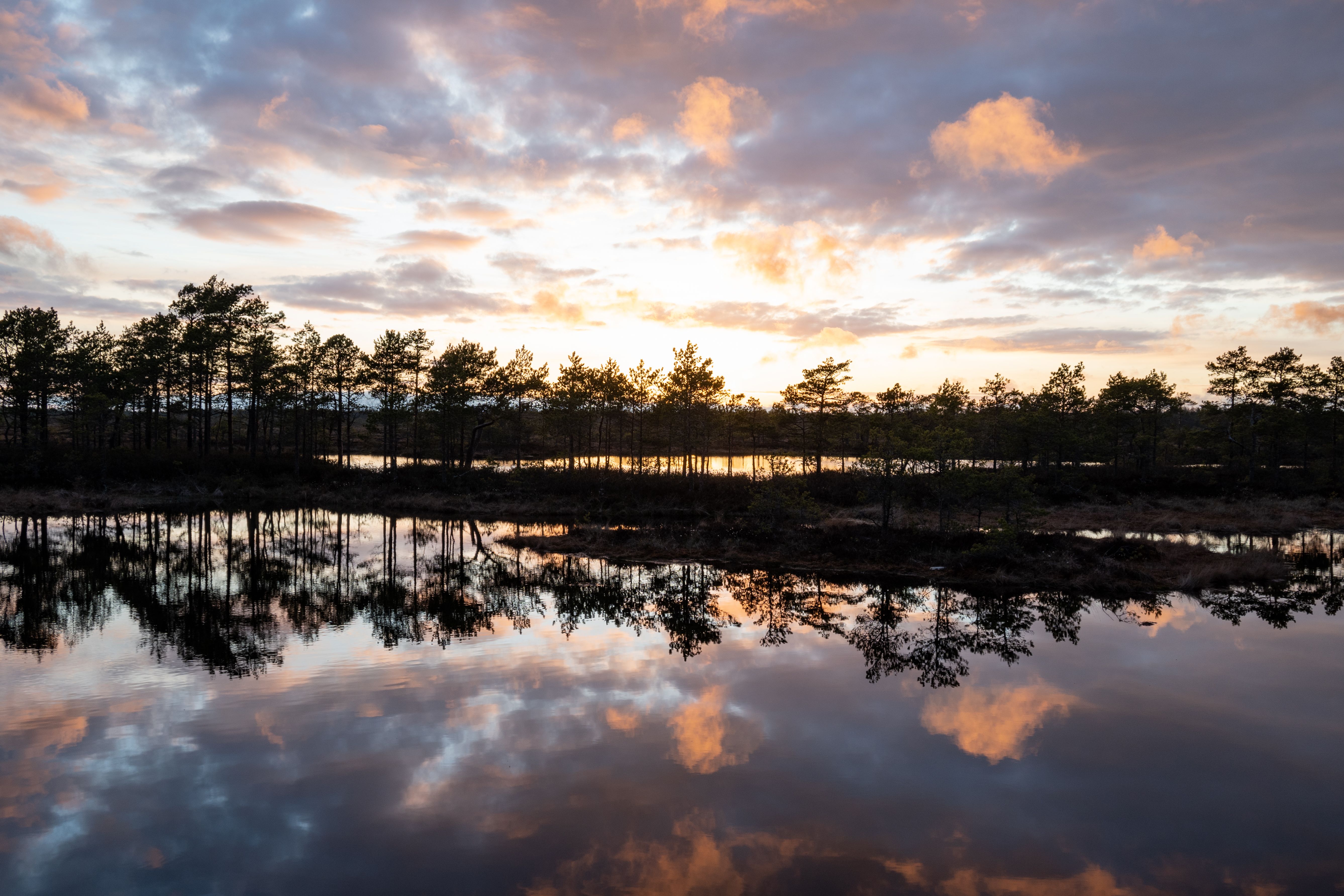 Body of Water Near Green Trees Under Cloudy Sky · Free Stock Photo