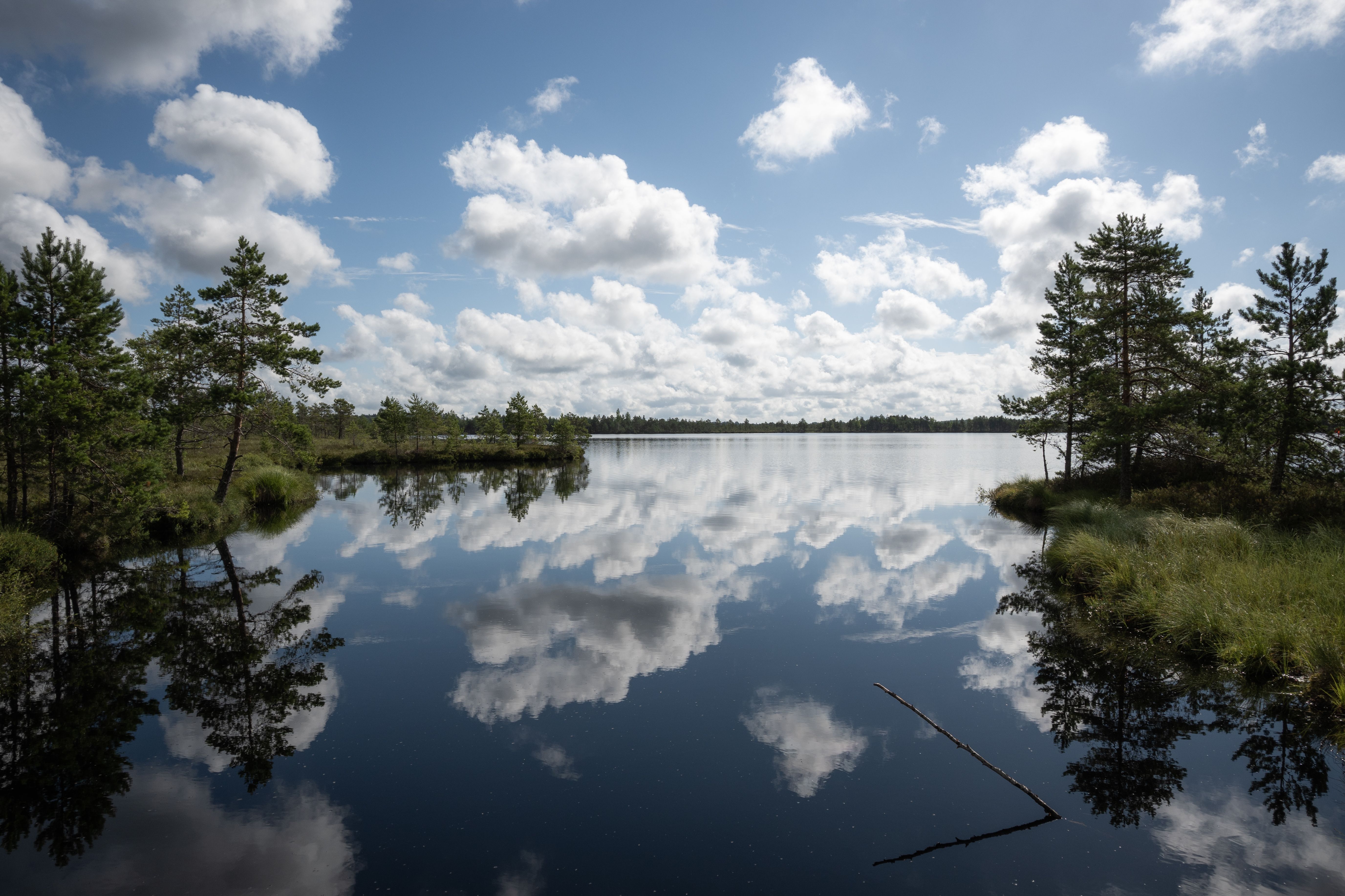 Cycle or run the full lake loop