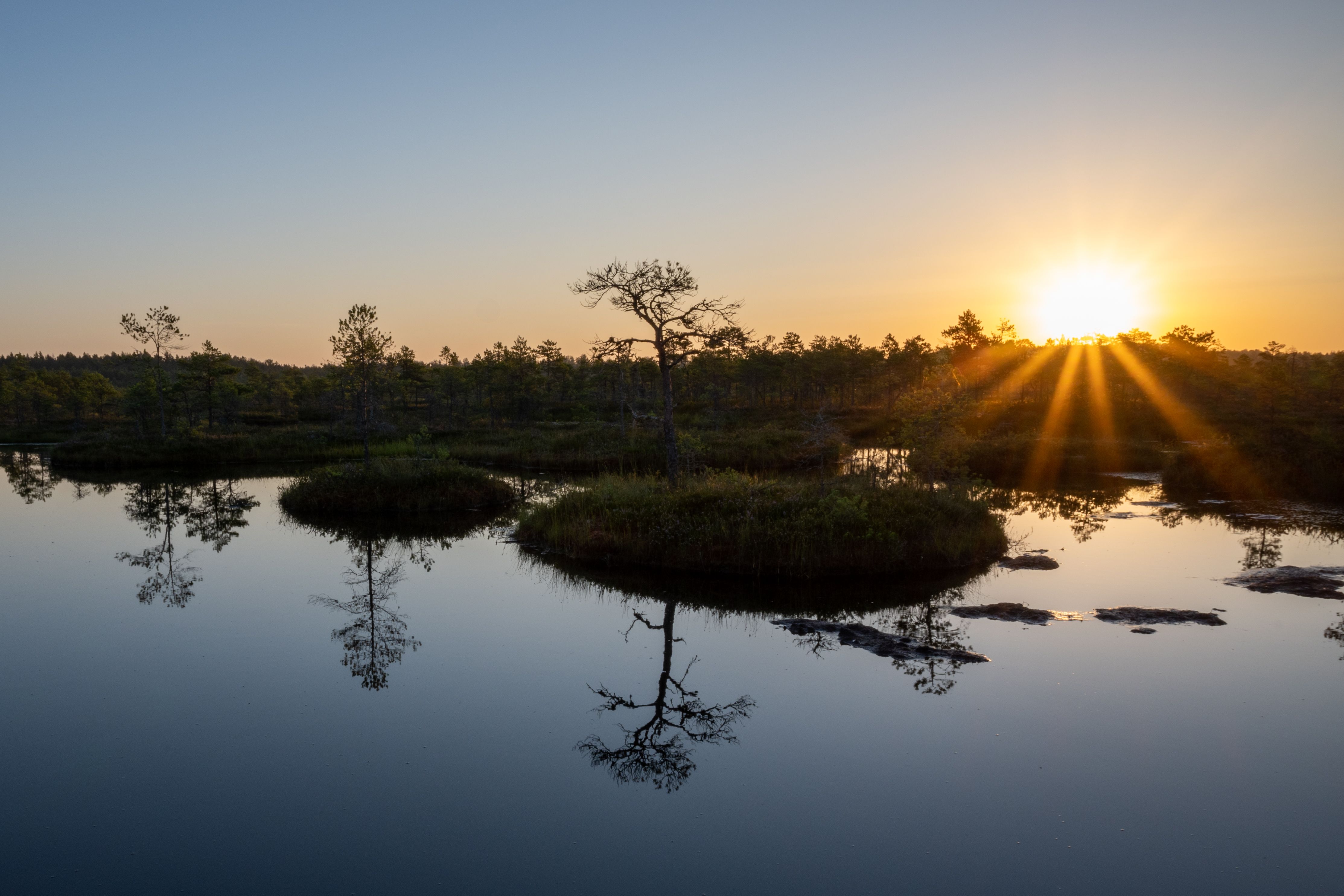Capture the tranquil beauty of sunrise over an Estonian bog, reflecting peaceful landscapes in calm waters.