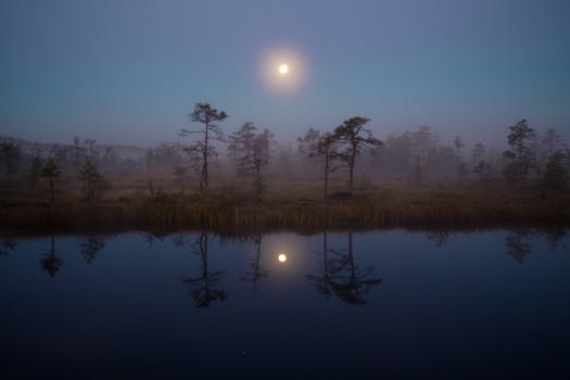 A serene sunrise reflecting in a misty bog with silhouetted trees in Estonia.