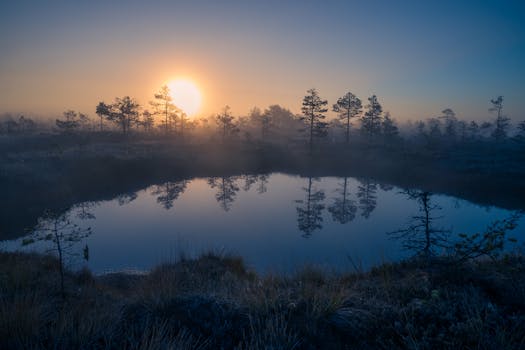 Tranquil view of a sunrise reflecting over a serene bog in Estonia, with mist and trees.