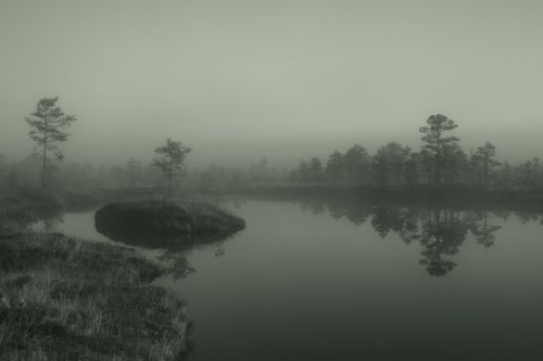 Free Calm and misty bog landscape with reflections and trees in Estonia. Tranquil and serene atmosphere. Stock Photo