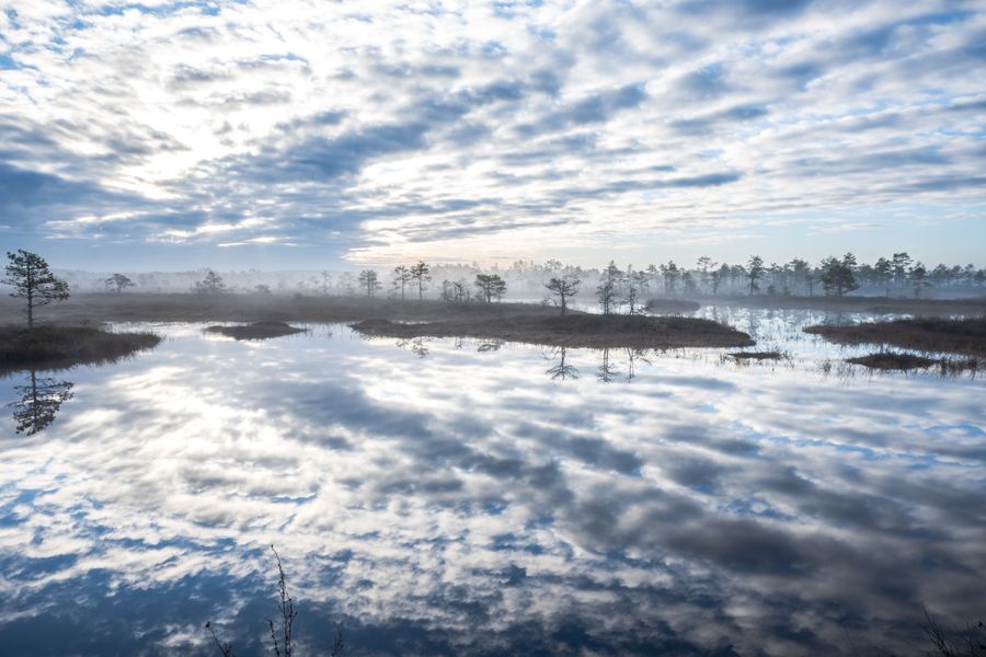 Mist drifting over open moorland at dusk — photo by Evelin Magnus on Pexels