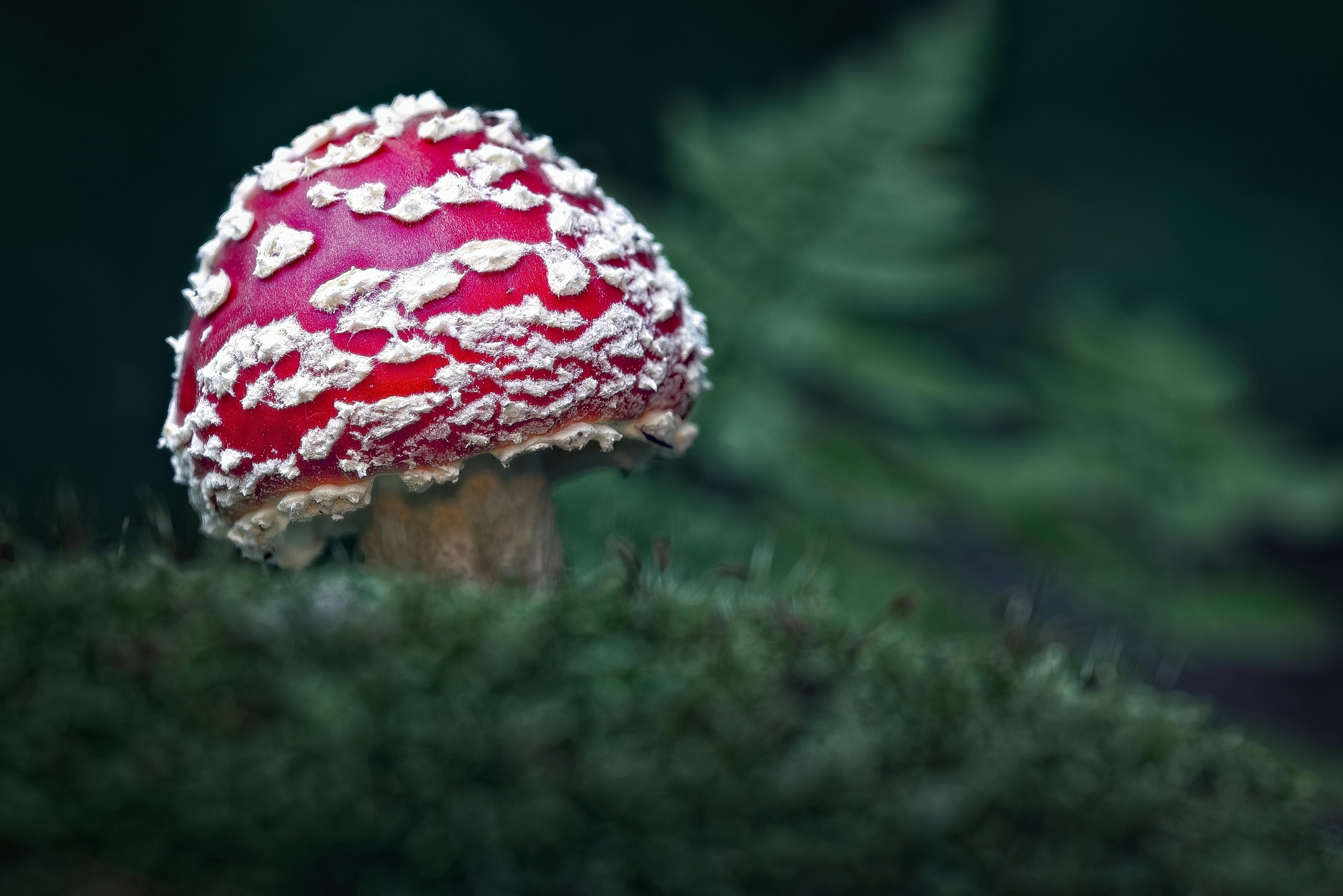 청주 개인회생 전문 변호사