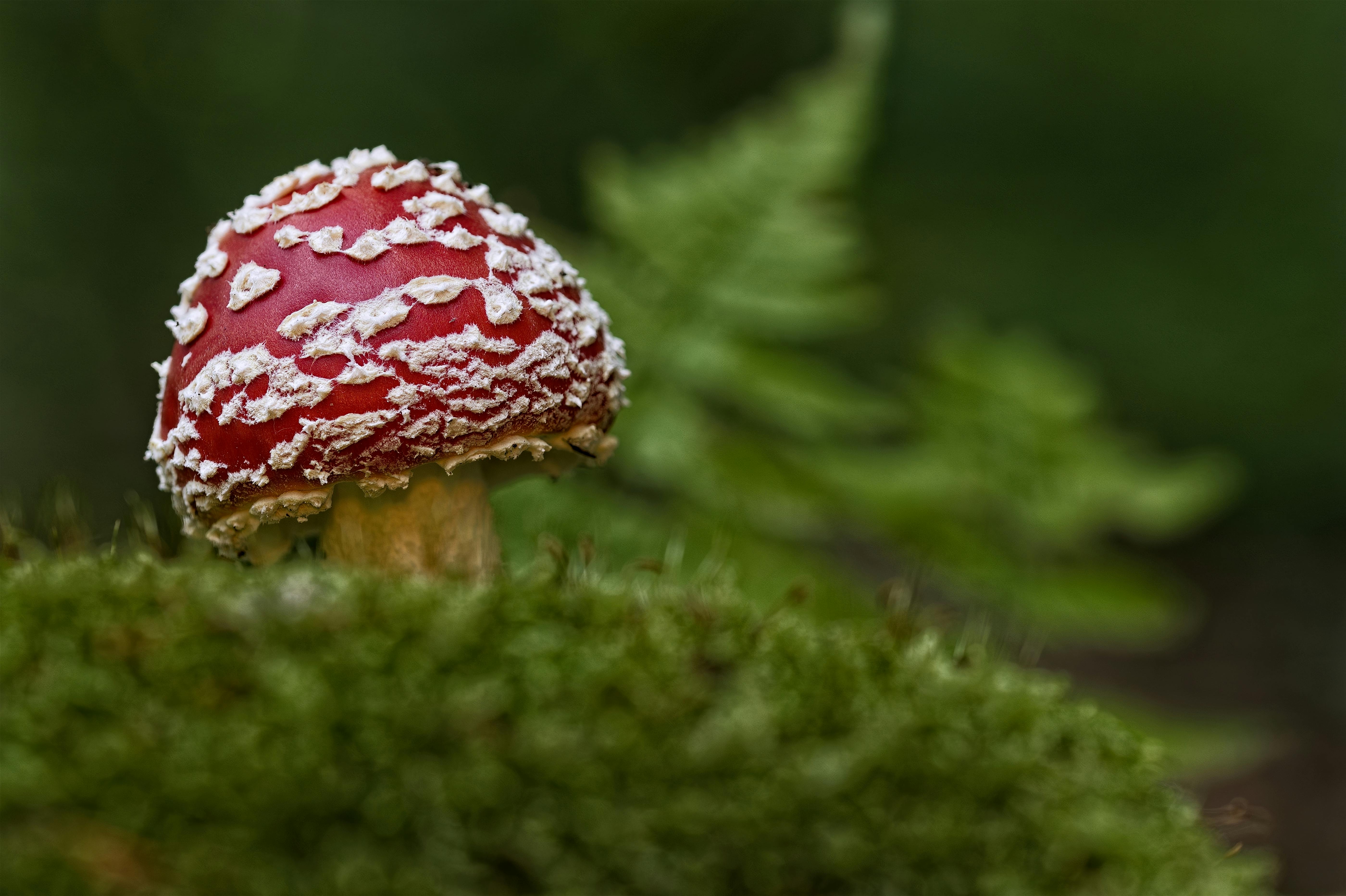 청주 음주운전 전문 변호사
