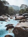 一条宁静的河流穿过郁郁葱葱的雨林，流过岩石，形成了一幅风景如画的自然景观