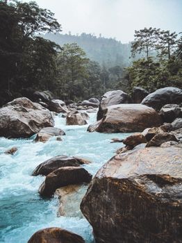 一条宁静的河流穿过郁郁葱葱的雨林，流过岩石，形成了一幅风景如画的自然景观