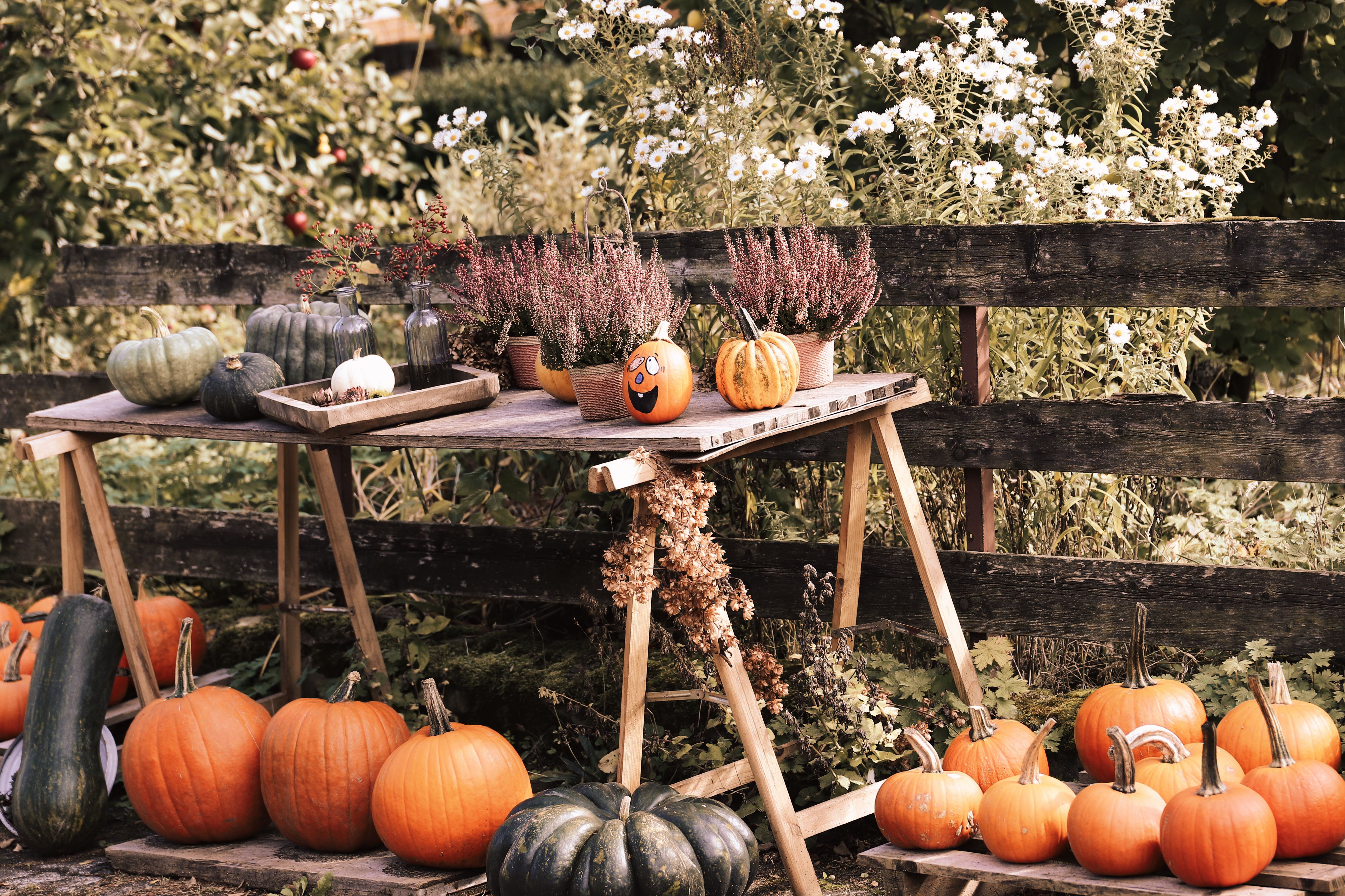 Versierde tuin met kleurrijke pompoenen en herfstbladeren.