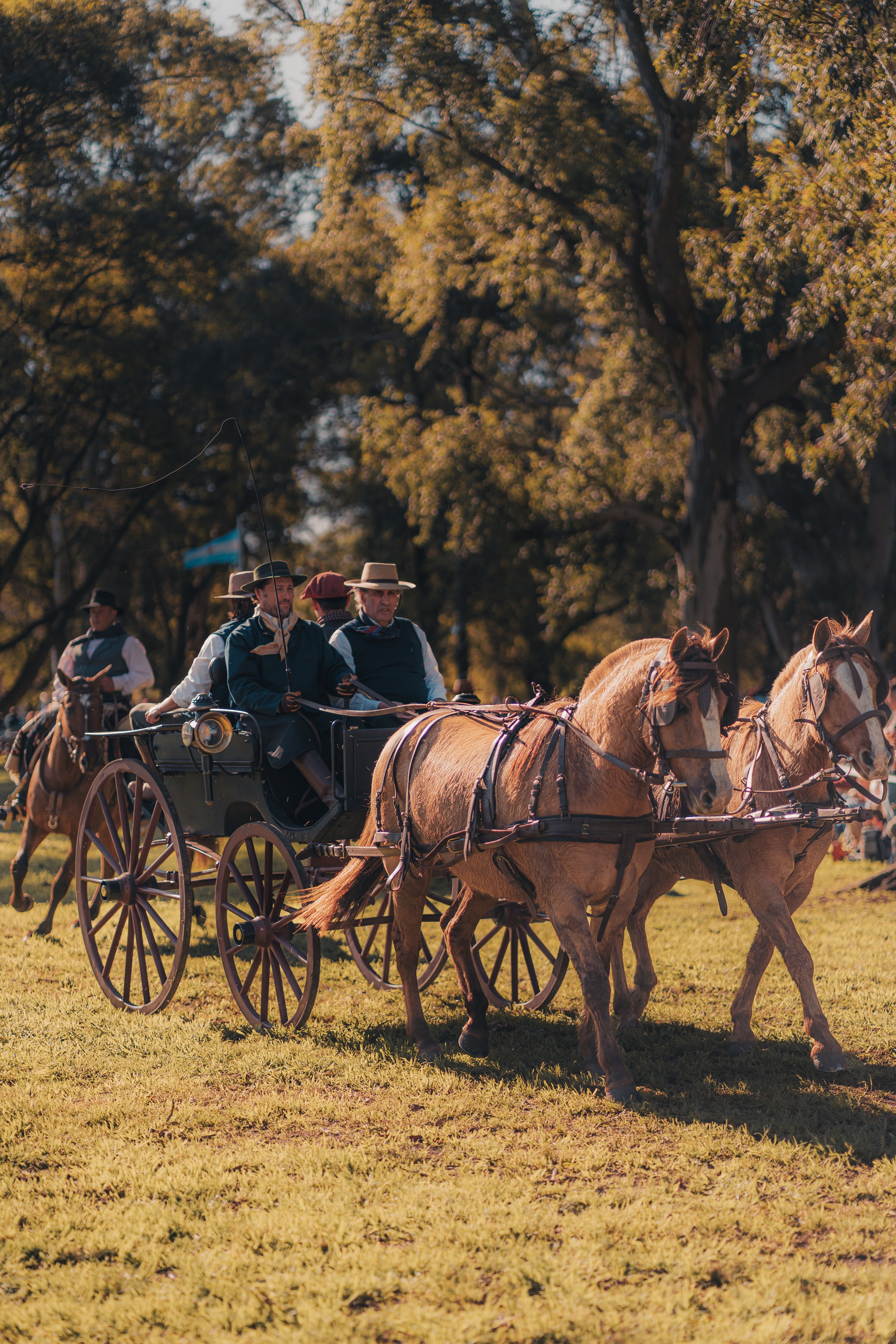 Historic Horse-Drawn Carriage Ride in Countryside · Free Stock Photo
